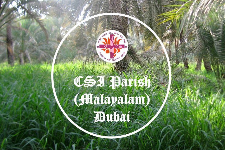Environment Sunday